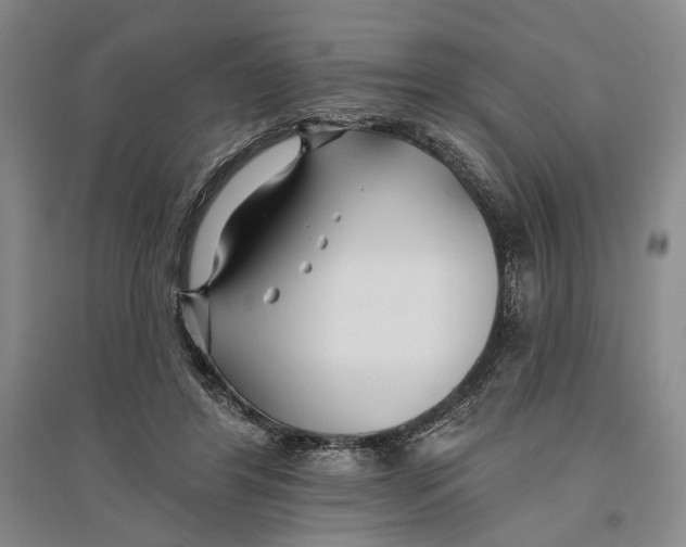 X0000096990404200802291214