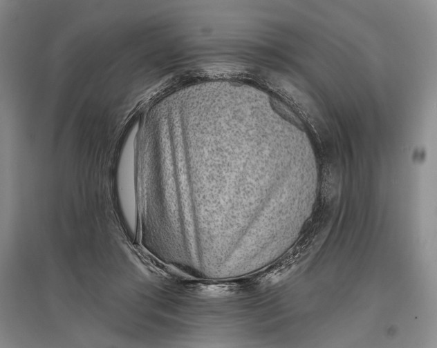 X0000096990405200802291214