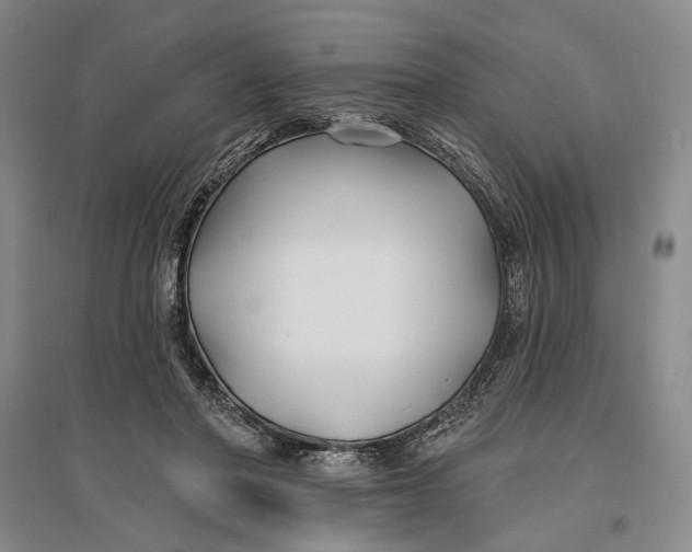 X0000096990406200802291214