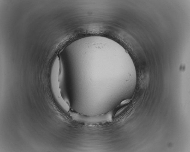 X0000096990407200802291214