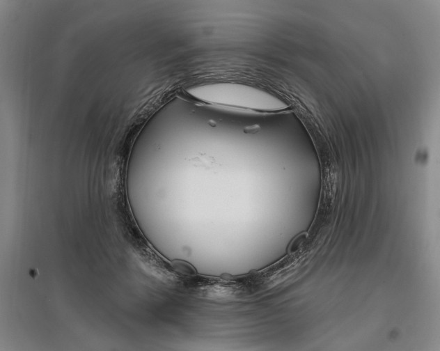 X0000096990412200802291213