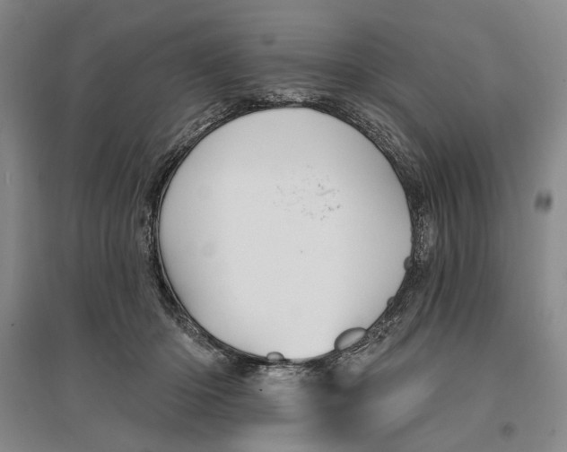 X0000096990414200802291213