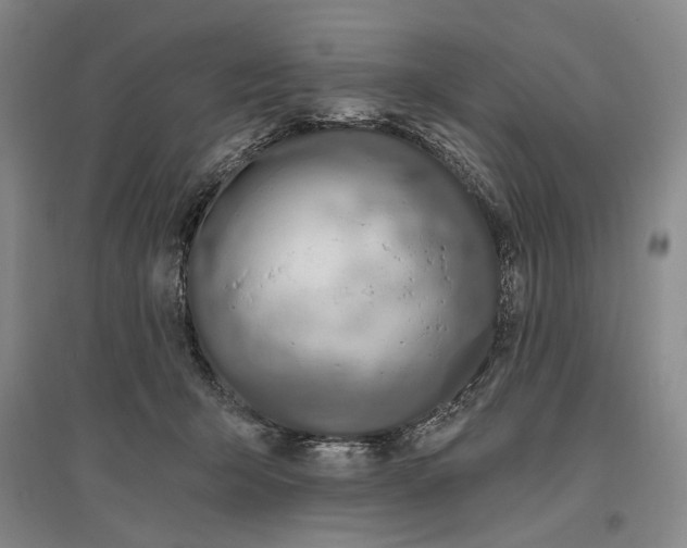 X0000096990415200802291213