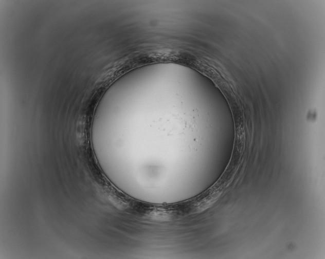 X0000096990416200802291213