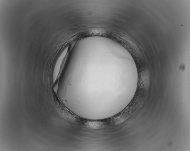 X0000096990417200802291213