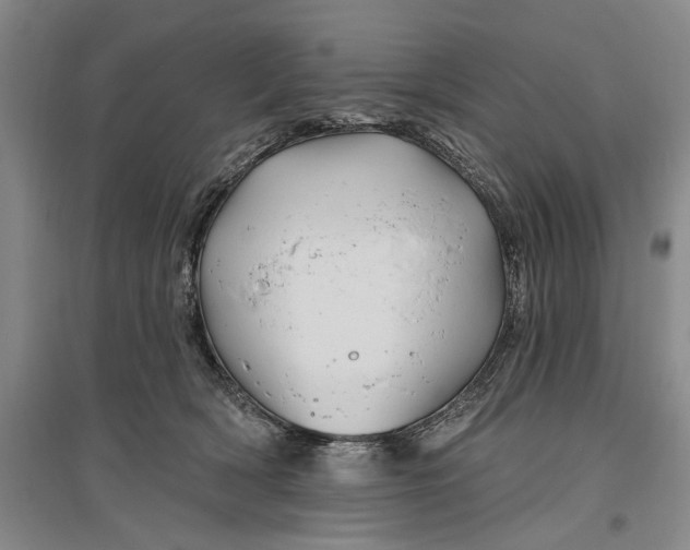 X0000096990418200802291213