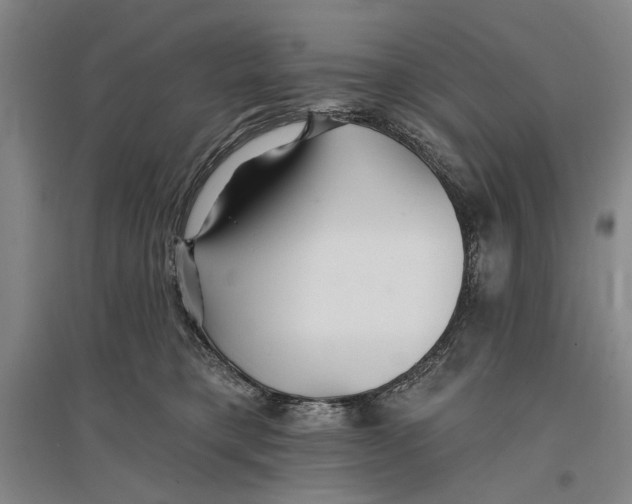 X0000096990421200802291213