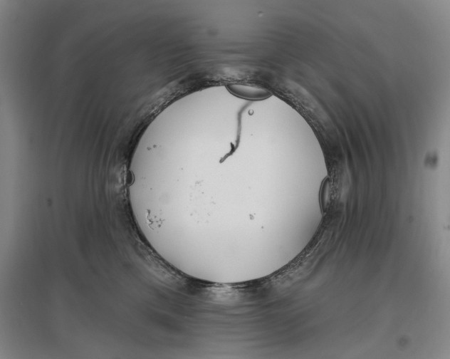 X0000096990425200802291213