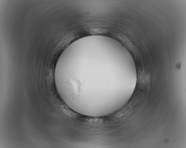 X0000096990426200802291213