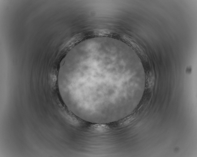 X0000096990427200802291213