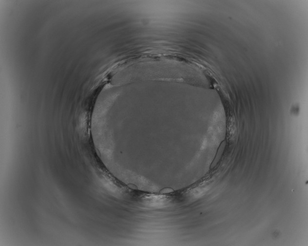 X0000096990428200802291213