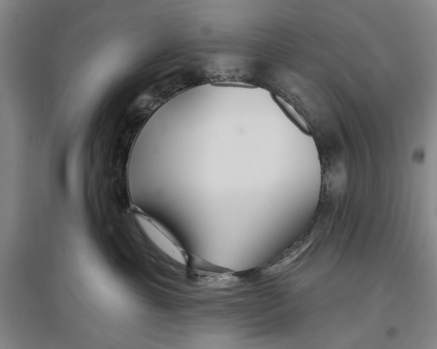 X0000096990429200802291213