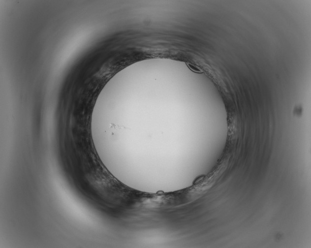 X0000096990430200802291213