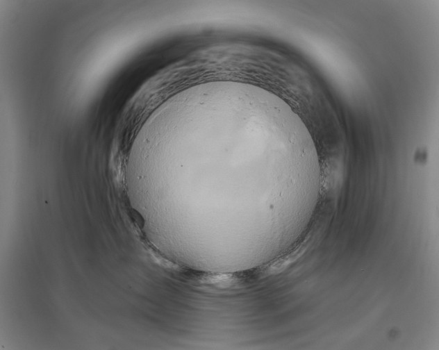 X0000096990431200802291213