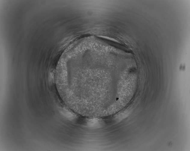 X0000096990432200802291213