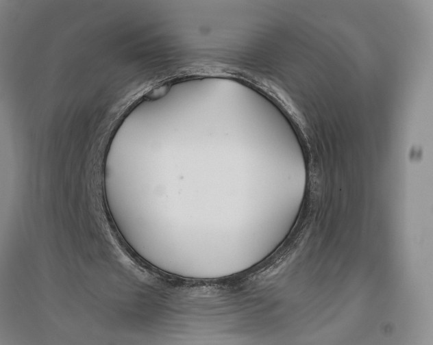 X0000096990433200802291212