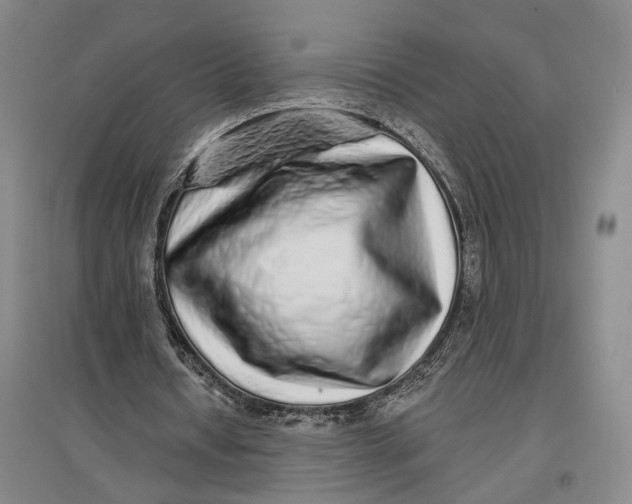 X0000096990434200802291212