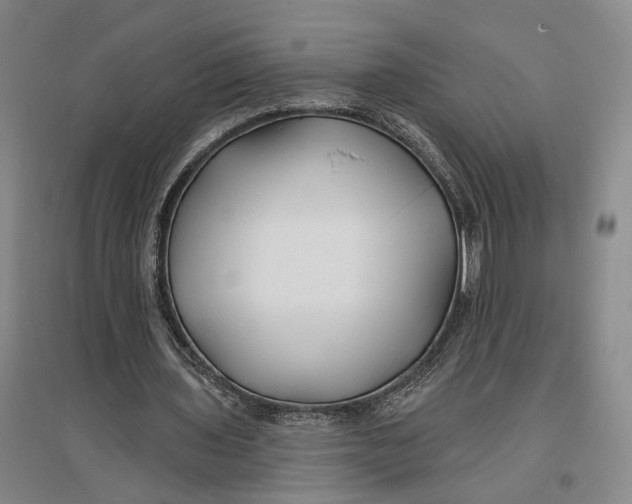 X0000096990435200802291212