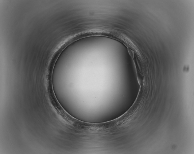 X0000096990436200802291212