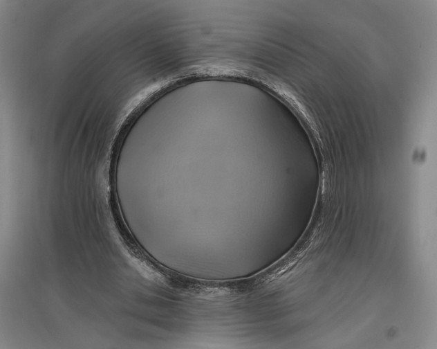 X0000096990438200802291212