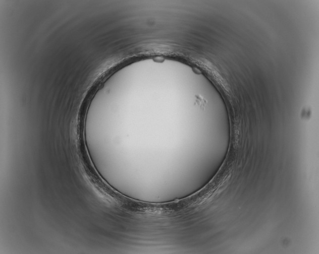 X0000096990439200802291213