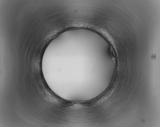 X0000096990441200802291213