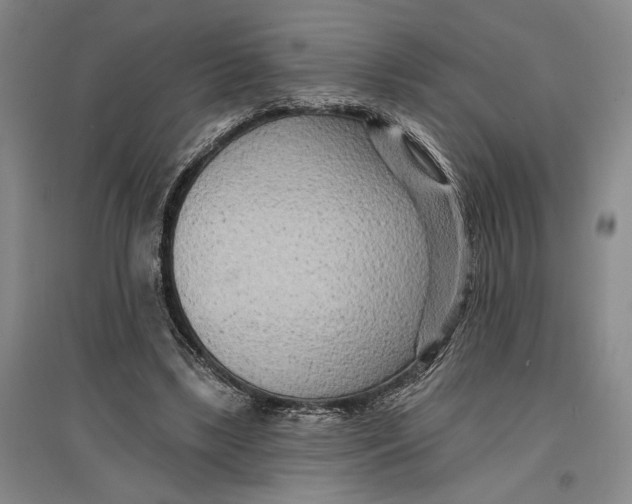 X0000096990443200802291213