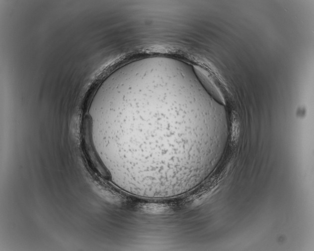 X0000096990444200802291213