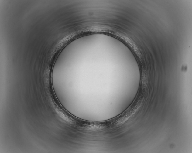 X0000096990445200802291213