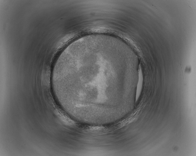 X0000096990446200802291213