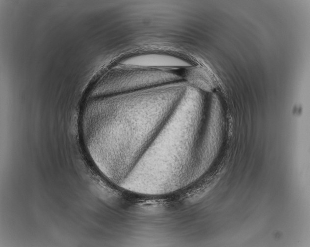 X0000096990447200802291213