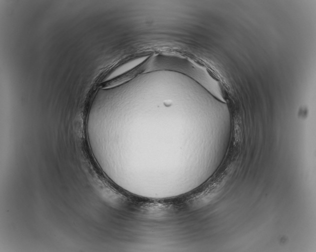 X0000096990453200802291213