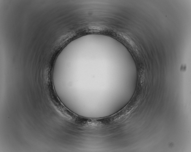 X0000096990455200802291213