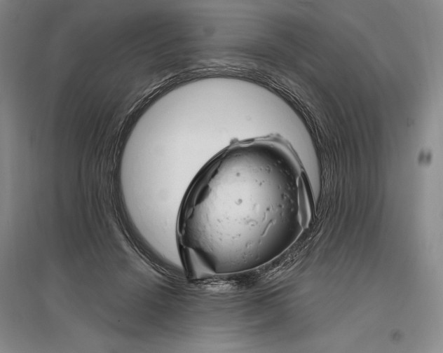 X0000096990456200802291213