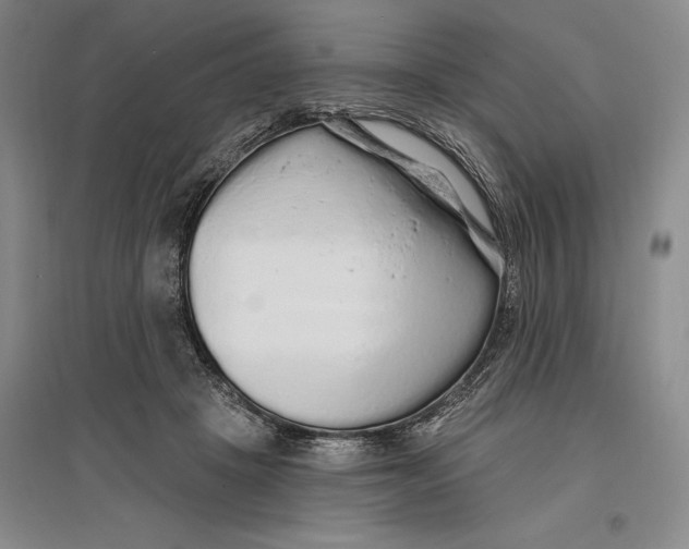 X0000096990457200802291213