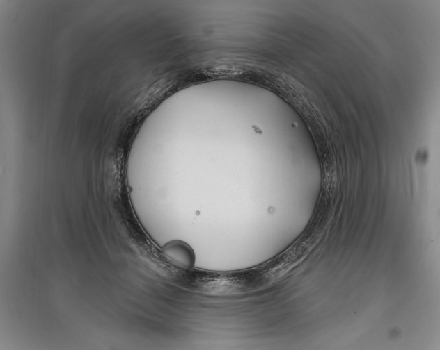 X0000096990460200802291213