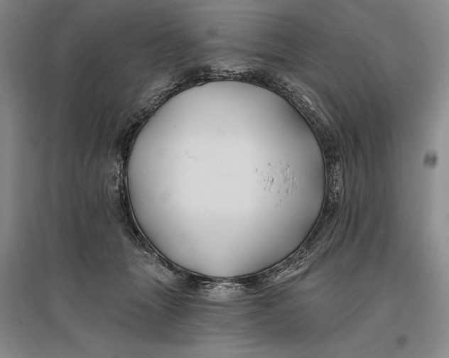 X0000096990463200802291213