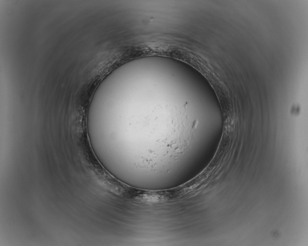 X0000096990464200802291213