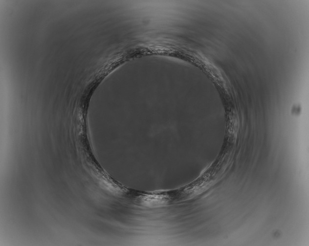 X0000096990465200802291213