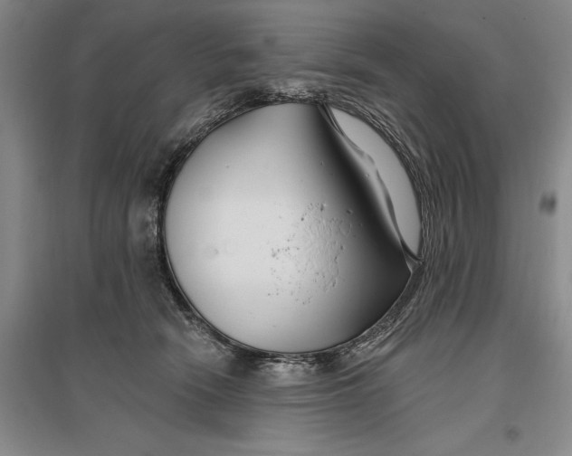 X0000096990466200802291213