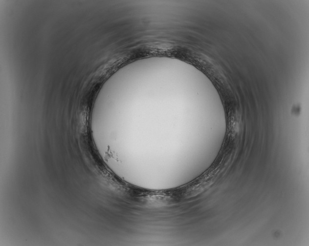 X0000096990468200802291213