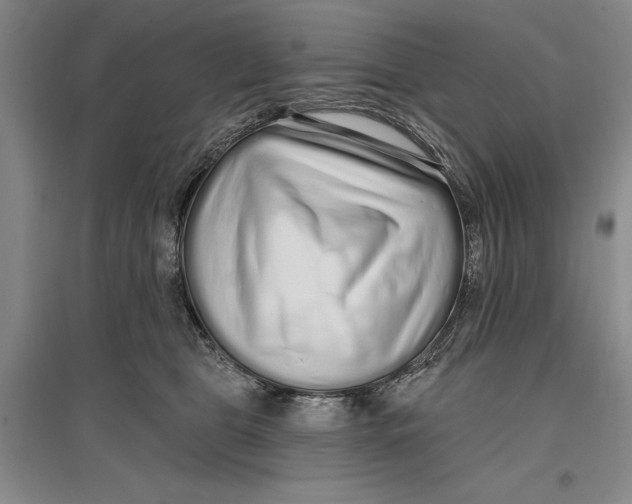 X0000096990469200802291213