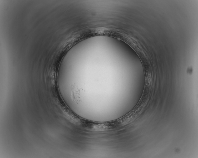 X0000096990470200802291213