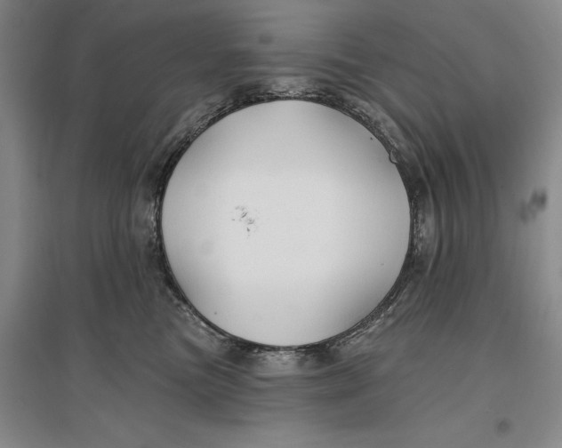 X0000096990473200802291213