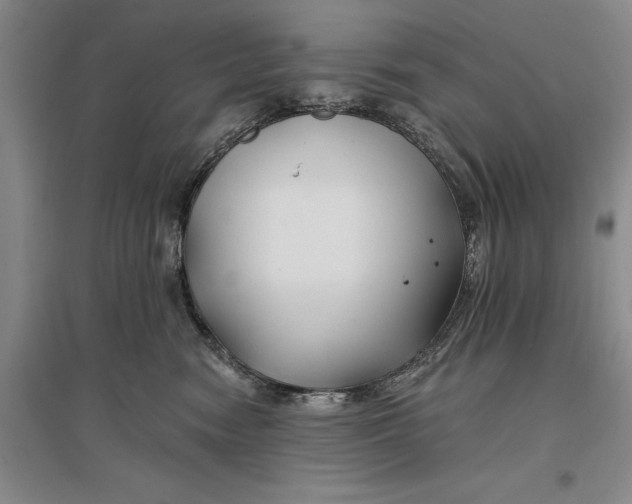 X0000096990474200802291213