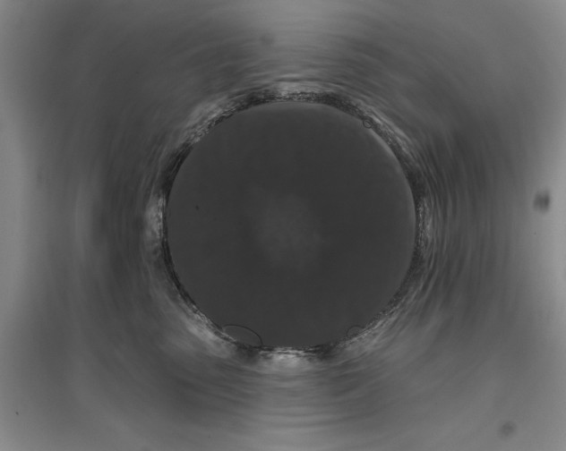 X0000096990475200802291213