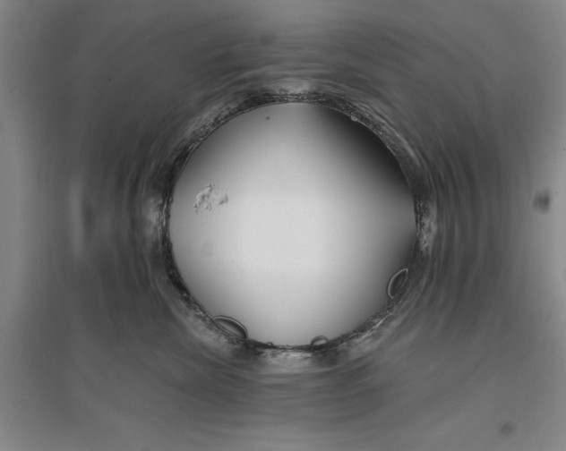 X0000096990476200802291213