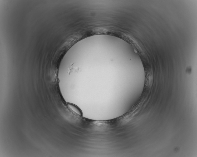 X0000096990477200802291213