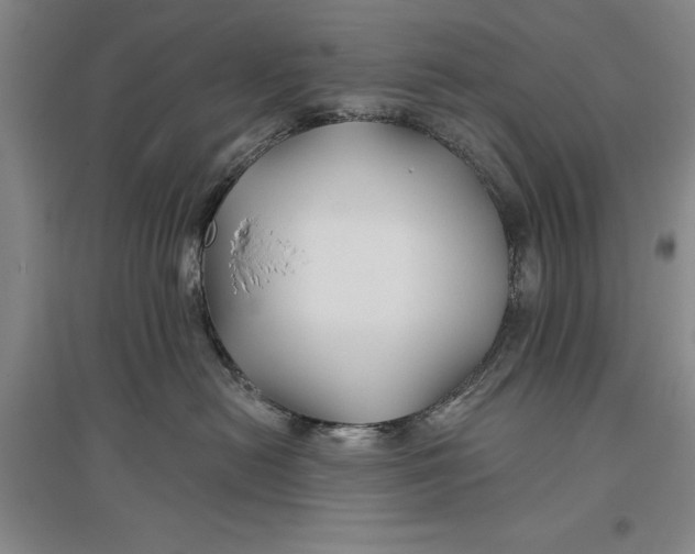 X0000096990478200802291213