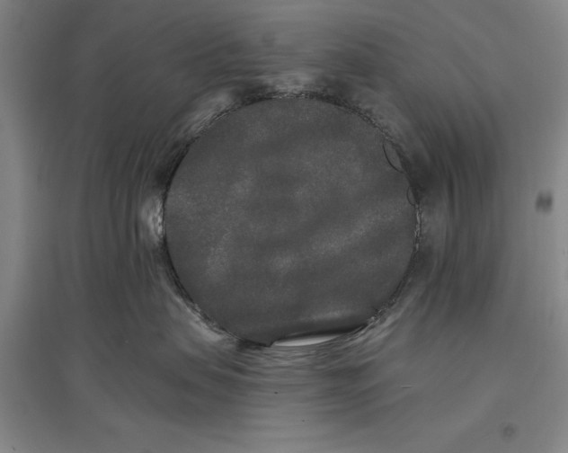 X0000096990479200802291213